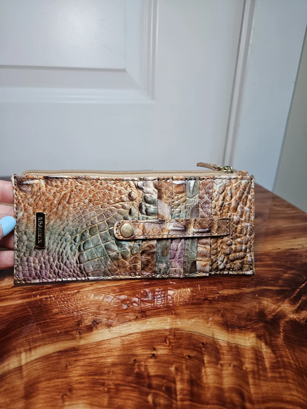 Brahmin Small Elaine Satchel + Matching Wallet | Truffle Python Ombre Melbourne